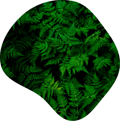 efficient image
